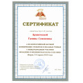 Сертификат Архинчеева.jpg