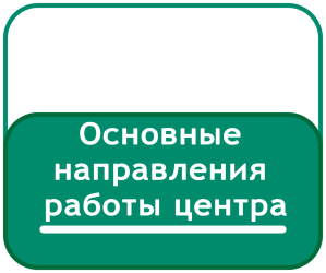 основные направляения работы центра.png