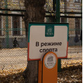 5N7A3125.jpg