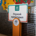 5N7A3233.jpg