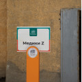 5N7A3183.jpg
