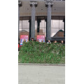 YM00LRpOMNLYHEJMUd1b71MGoPh7r0EDnm8PNYyPGY8E-jtPpFFCdeurKJQYNZjLJoxBN5rGPqhm05dTkkflTvF3.jpg