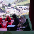 _N7A8950.jpg