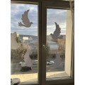 i (16).webp