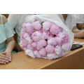 i - 2026-06-29T101659.837.webp