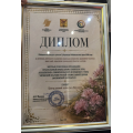image-06-08-26-04-45 (1).png