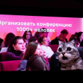 IMG_0019.jpg