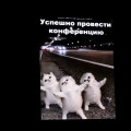 IMG_0029.jpg