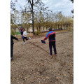 IMG_20261002_165620.jpg